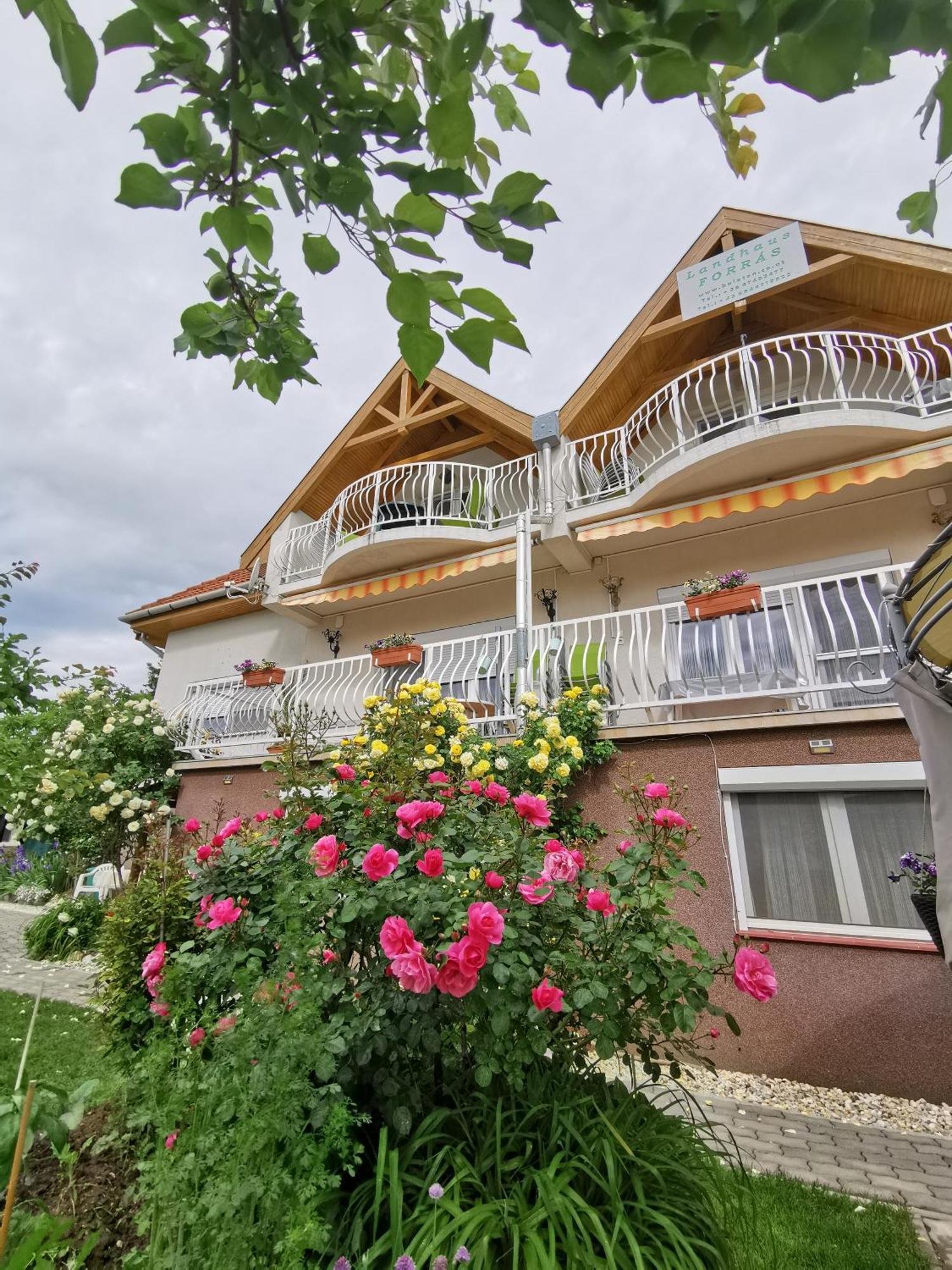 Landhaus Forras بالاتونفوريد المظهر الخارجي الصورة